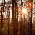 landscape24
