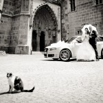 wedding47