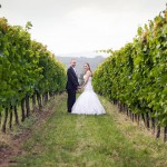wedding88